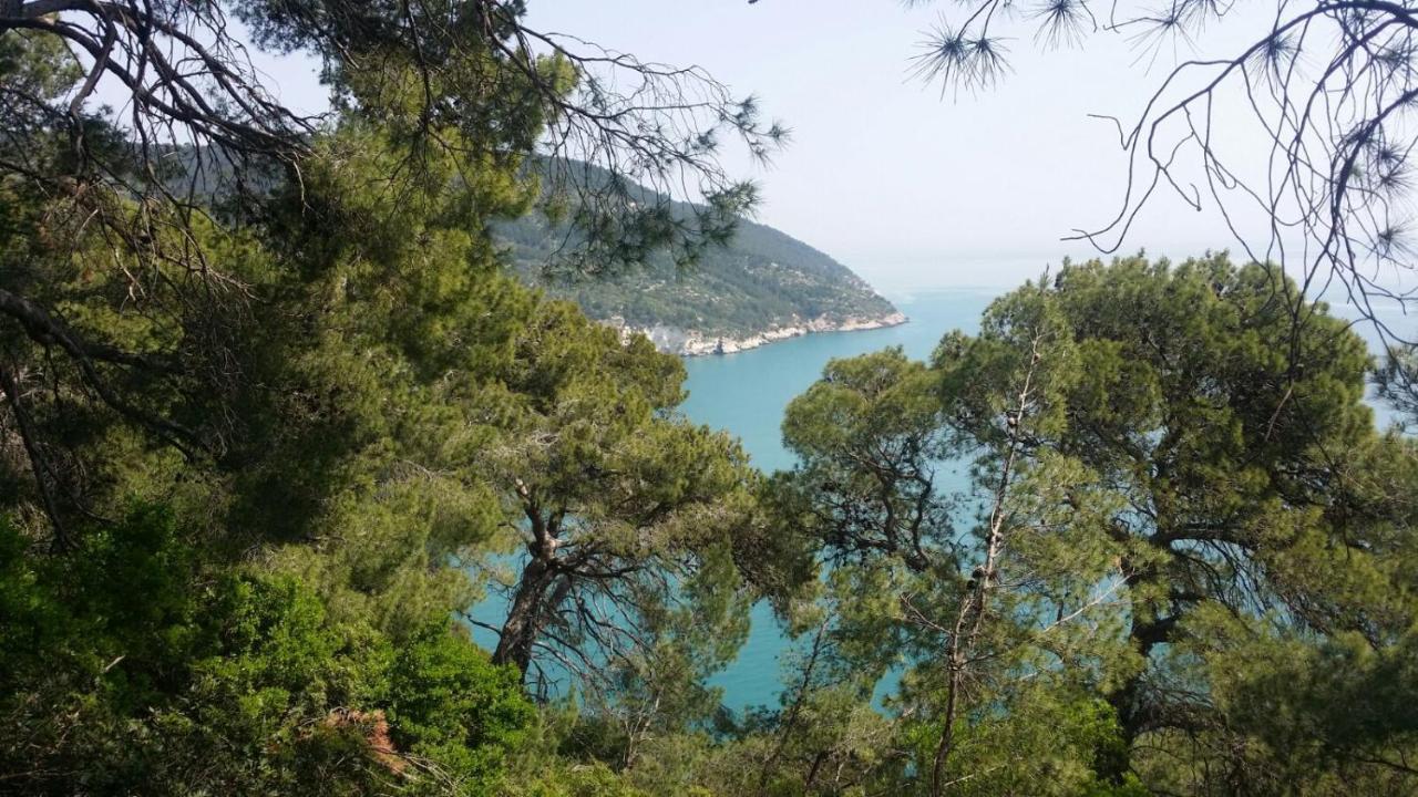 Olive&Sea Villa-Sea Mattinata Exterior photo