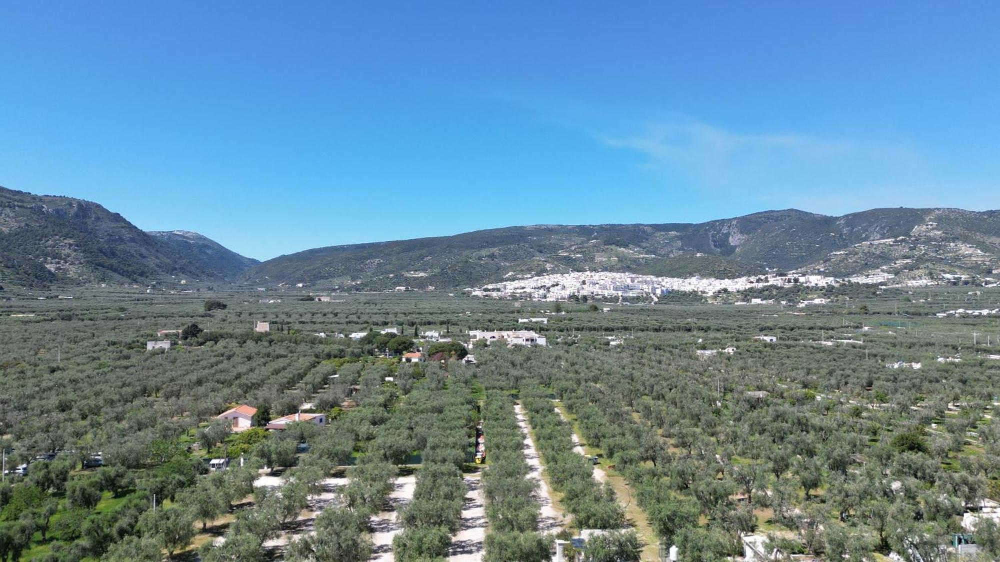 Olive&Sea Villa-Sea Mattinata Exterior photo
